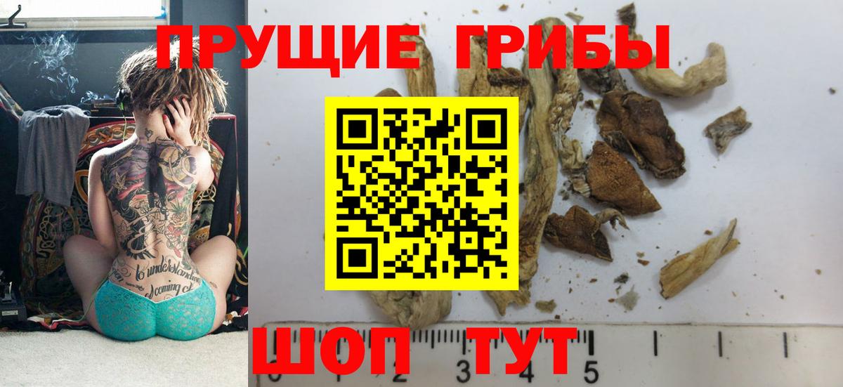 Кстово  Галлюциногенные грибы Magic Shrooms  Вход с VPN 